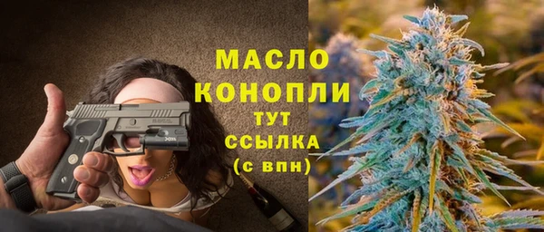 крисы Верхний Тагил