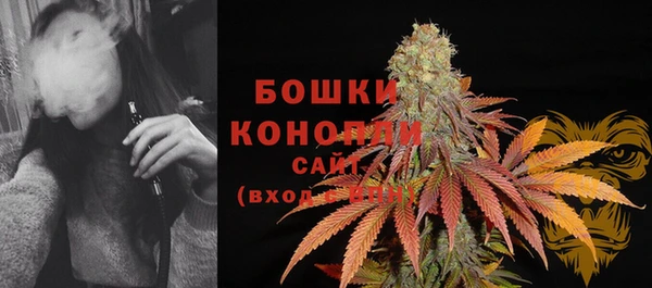 крисы Верхний Тагил