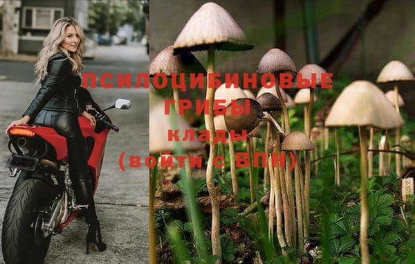 крисы Верхний Тагил