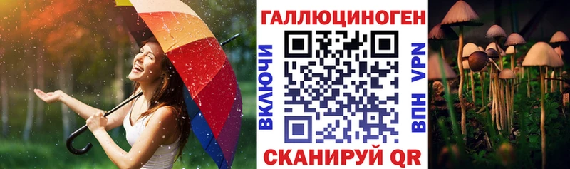 Купить закладки  Малгобек  Псилоцибиновые грибы мухоморы 